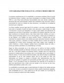 CONTABILIDAD POR FICHAS EN EL ANTIGUO MEDIO ORIENTE