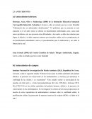 Antecedentes de proyecyo quimico