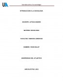 INTRODUCCION A LA SOCIOLOGIA