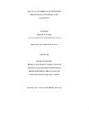 LEVANTAMIENTO TOPOGRÁFICO FINAL