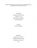 OBTENCION, PURIFICACION, CUANTIFICACION Y DETERMINACION DE LA SOLUBILIDAD DEL ACIDO ACETIL SALICILICO