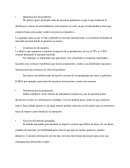 Solucion de Problemas y Toma de Decisiones, Actividad Crisantemos, S.A.