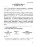 LABORATORIO Nº 1 INCERTIDUMBRE DE LAS MEDIDAS Y TRATAMIENTO DE DATOS