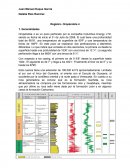 CFC gestion ambiental