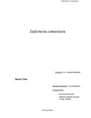 TRABAJO PRACTICO COMUNITARIA