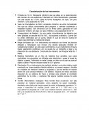 Caracterización de los Instrumentos