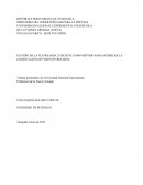 ESTUDIO DE LA TECNOLOGÍA LITECRETE COMO MÉTODO PARA OPTIMIZAR LA CEMENTACIÓN DE POZOS PETROLEROS