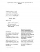 Asignatura Física, Facultad de Ciencias de la Salud, Universidad Católica de Manizales