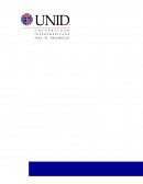 La Era Digital en la Globalidad