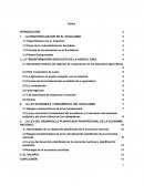 LA INDUSTRIALIZACIÓN EN EL SOCIALISMO