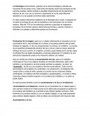 La fisiología (conocimiento, estudio) es la ciencia biológica q estudia las funciones de los seres vivos