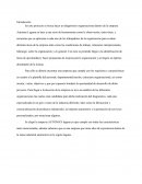 Diagnostico Organizacional Antecedentes históricos