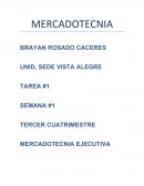 TEMA: MERCADOTECNIA EJECUTIVA
