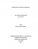 Competencias comunicativas - trabajo 1