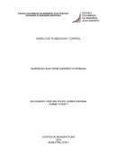MODELO DE PLANEACION Y CONTROL