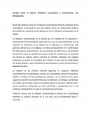 Ensayo sobre la lectura “Didáctica constructiva y matemáticas: una introducción