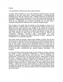 Ensayo “Los sentimientos y anhelos de la clase media mexicana”