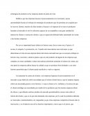 Estrategias de producto en las empresas desde mi punto de vista.