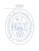 ¿Qué es el muestreo estadístico?