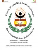 Ranas y nenúfares para pasar lista