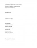 LOGISTI CA COMERCIAL INTERNACIONAL