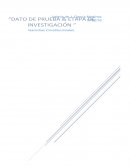Datos de prueba etapa de investigacion. La audiencia de la etapa de investigación