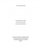 COFFE AND BEER ANFRA