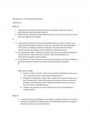 Macroeconomia : Version para lationoamerica
