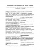 Identificación de los Elementos en una Muestra Orgánica.