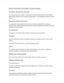 Derecho Procesal y principios constitucionales