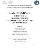 PRACTICA DE DESCOMPOSICIÓN CATALÍTICA DEL PERÓXIDO DE HIDRÓGENO.