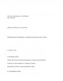 Buscando la Integración y la Práctica Sana del Deporte