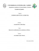 Síntesis de la clasificación de los yacimientos en México