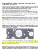 Medios sólidos, cultivos puros, y el nacimiento de la sistemática microbiana.