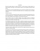 Reciclar las botellas plásticas con padres de familia