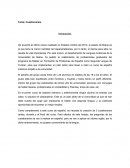 Factores Individuales de Aprendizaje