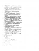 Libreta de apuntes enfermeria