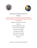 Importancia de tener una dieta balanceada,