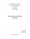 Se sabe que en la tierra existen más de 5 millones de especies, la cual nosotros los seres humanos sólo conoce la ínfima parte de estos. La taxonomía ordena, describe y clasifica a todos los seres vivos, teniendo como la unidad de una clasificación a