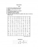 Sopa de letras de aves