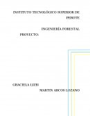 PROYECTO DE HUERTO FAMILIAR O DE TRASPATIO