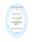 Marketing en la Intensidad de la Distribución