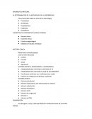 DIAGNOSTICO INTEGRAL