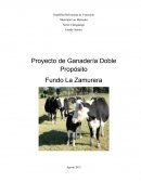 Proyecto de Ganadería Doble Propósito