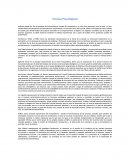 Ensayo de Teorías psicológicas