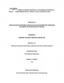 PRODUCCION DE PROTEINA UNICELULAR SACCHAROMYCES CEREVISAE POR MEDIO DE SUERO DESLACTOSADO.