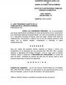 APELACION POR EL NO PAGO DE PENSIONES CAIDAS DECRETADAS POR EL JUEZ