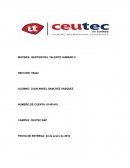 Entreviste a un gerente de una organización privada para identificar los criterios que ellos manejan para diseñar el plan de compensaciones que brindan a sus empleados