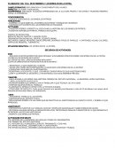 PLANEACION DEL DÌA DE LA BANDERA