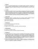 PRODECIMEINTO DE PRACTICAS PROFESIONALES